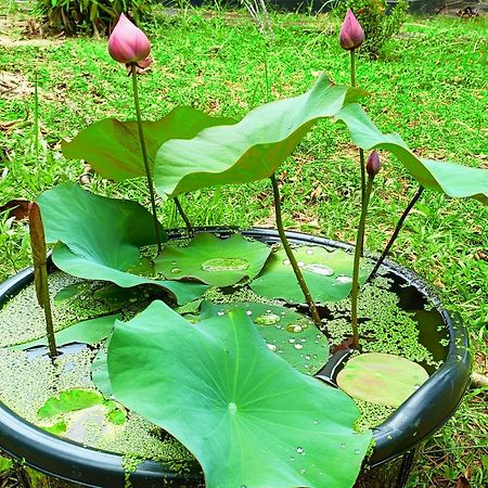 Angels' Homestay Marari Mararikulam Buitenkant foto