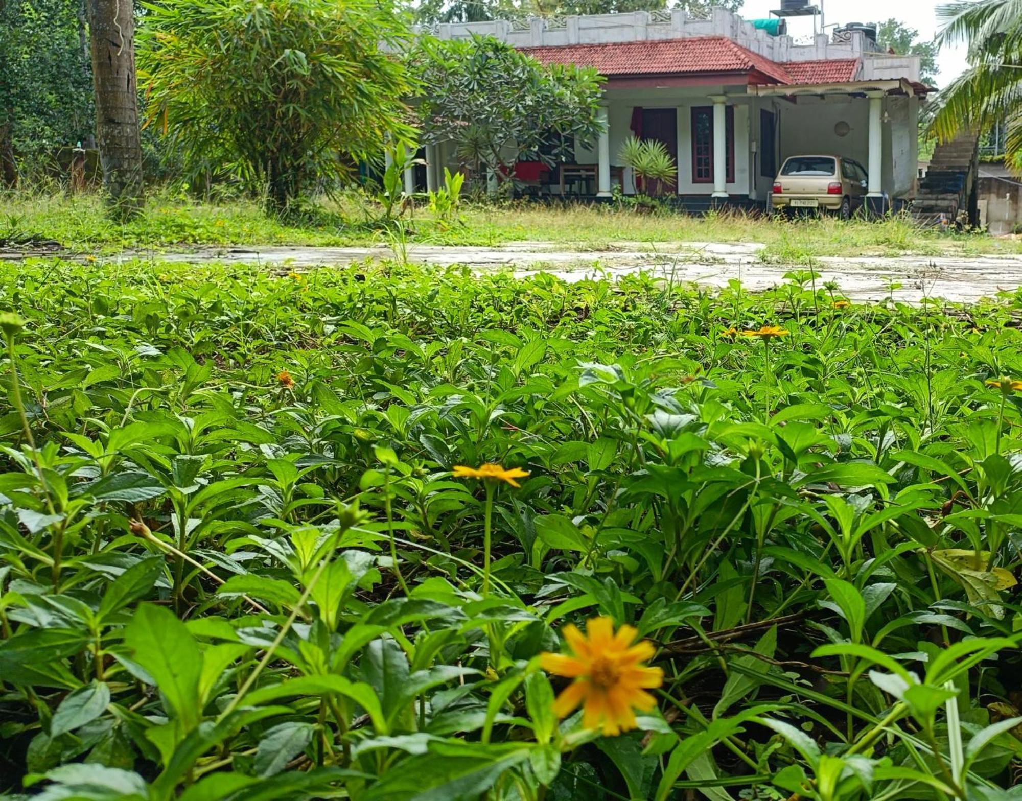 Angels' Homestay Marari Mararikulam Buitenkant foto