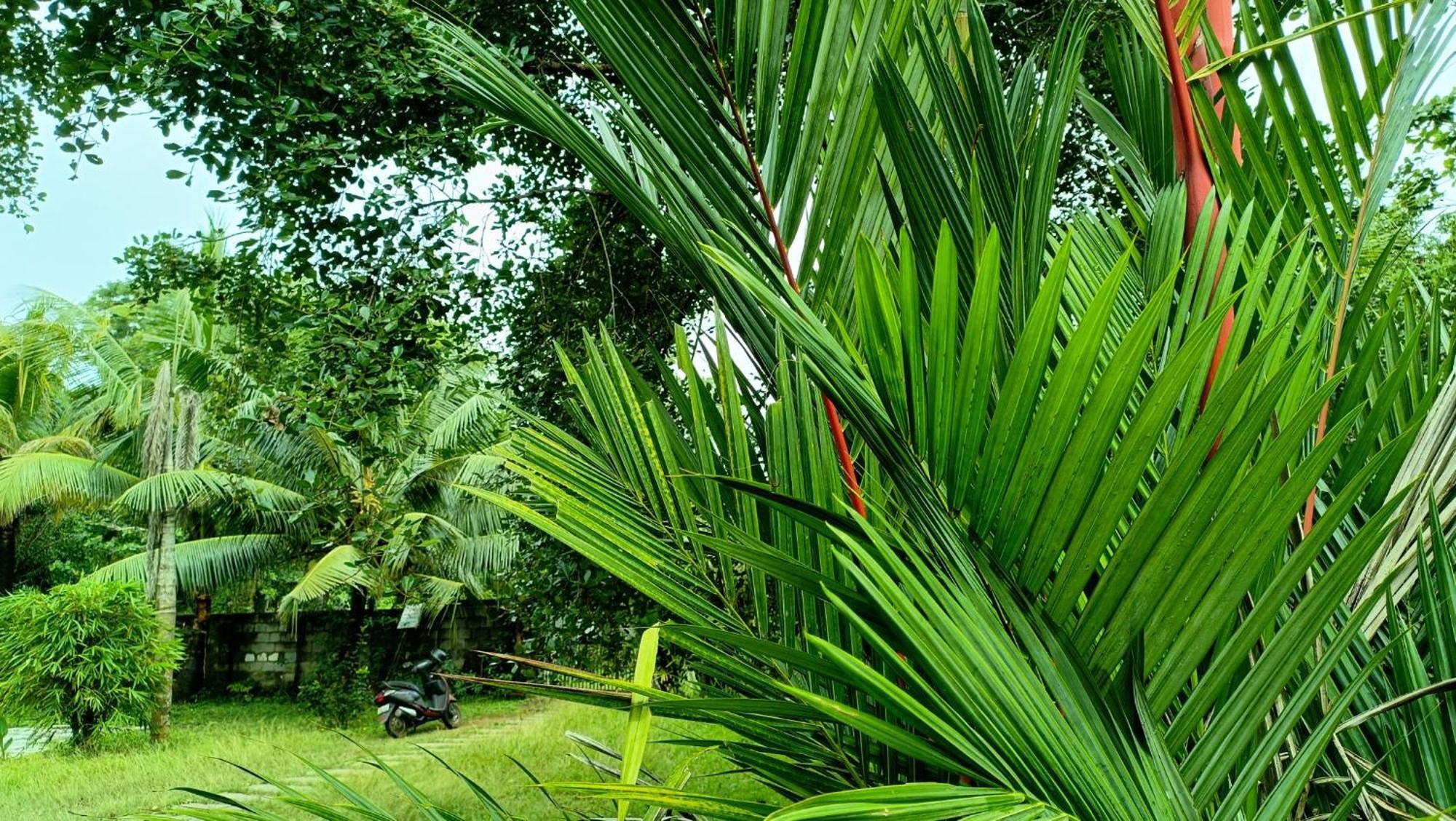 Angels' Homestay Marari Mararikulam Buitenkant foto