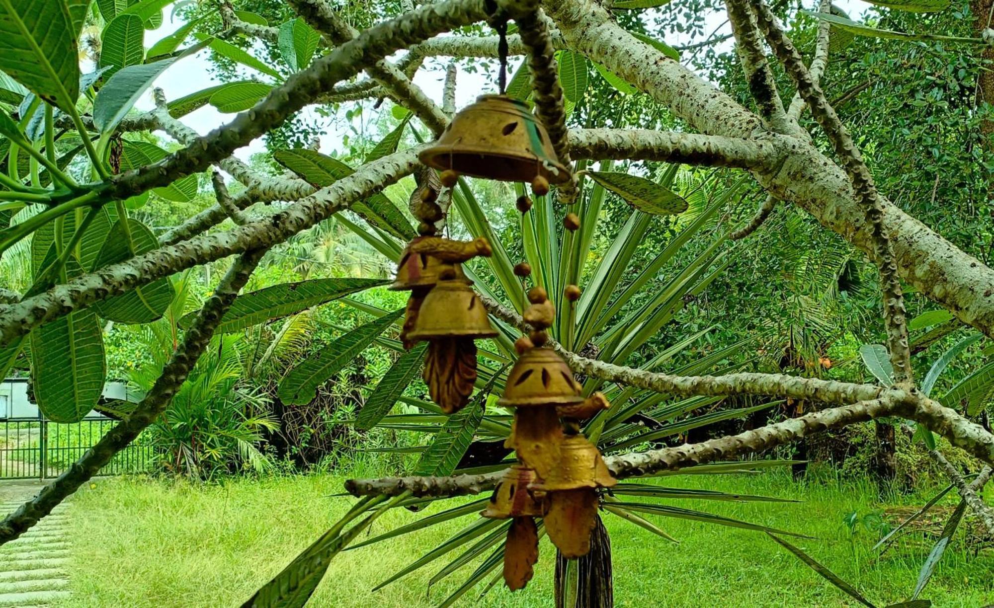 Angels' Homestay Marari Mararikulam Buitenkant foto