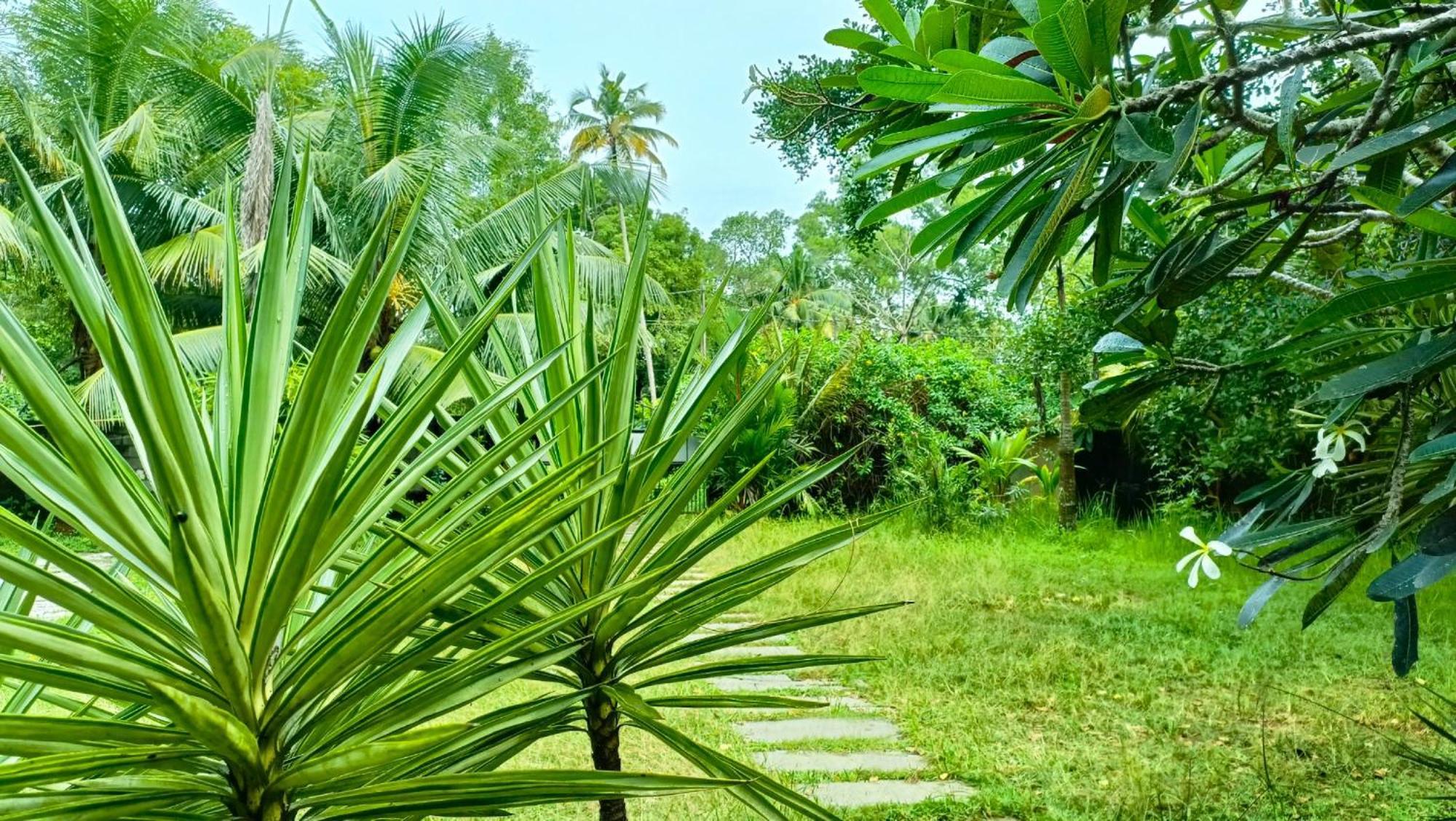 Angels' Homestay Marari Mararikulam Buitenkant foto