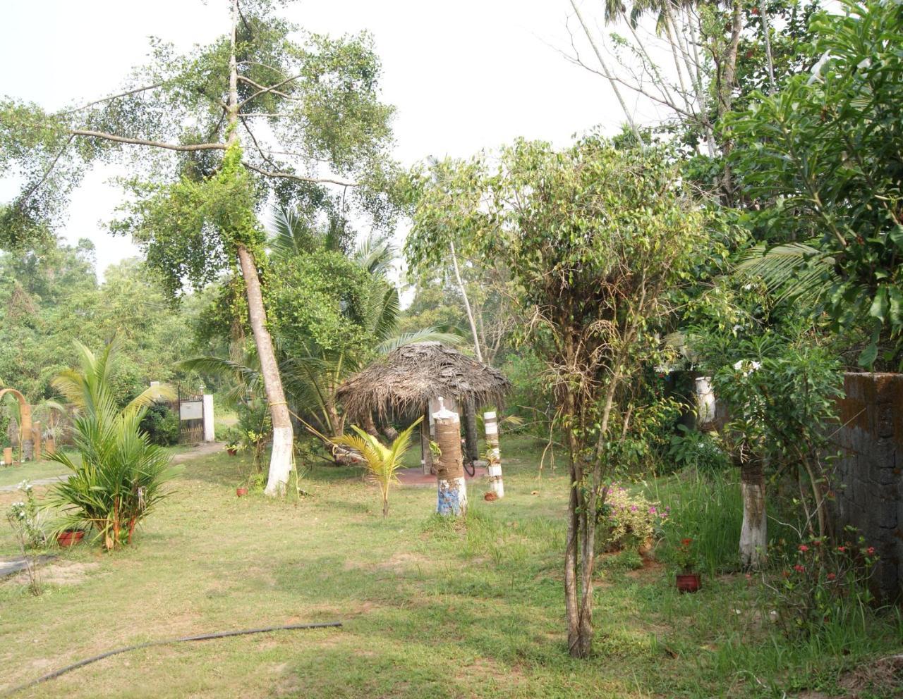 Angels' Homestay Marari Mararikulam Buitenkant foto